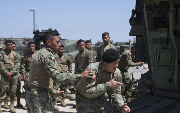 Amphibious Assault Vehicle Familiarization