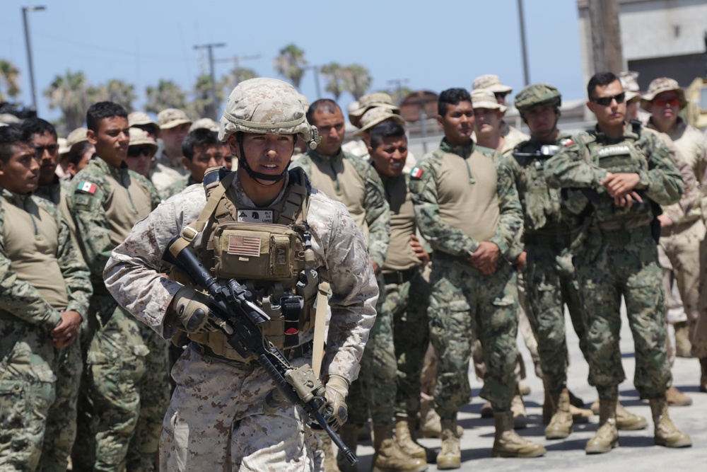 Amphibious Assault Vehicles Familiarization