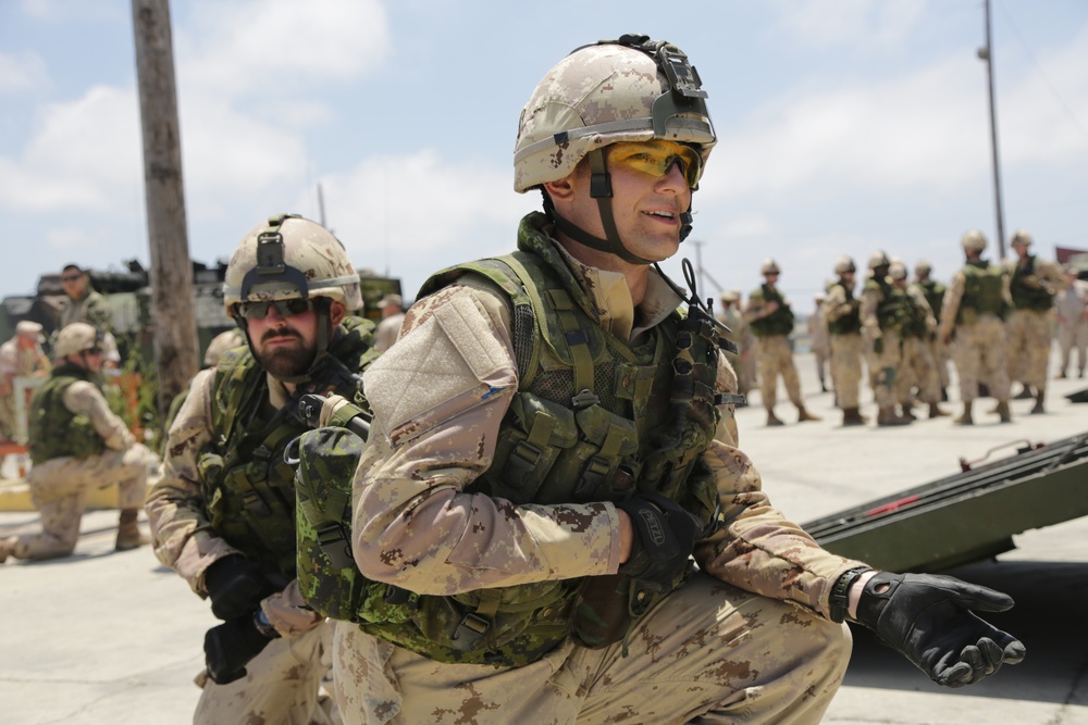 Amphibious Assault Vehicles Familiarization