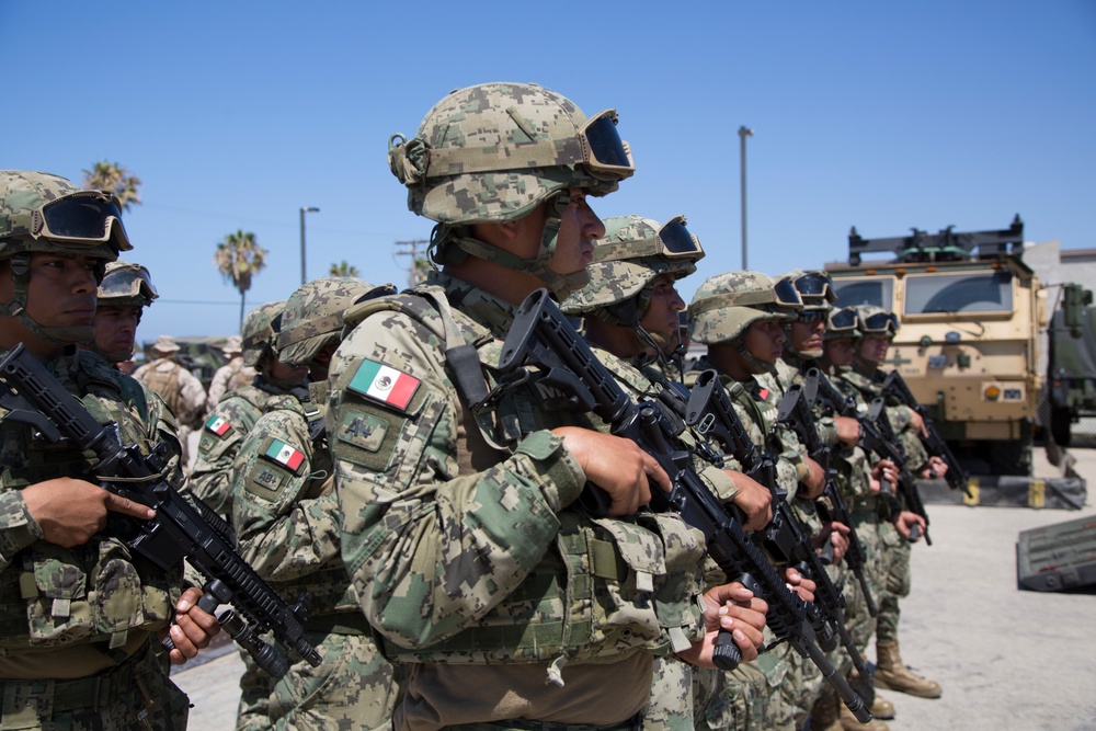 Amphibious Assault Vehicles Familiarization