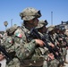 Amphibious Assault Vehicles Familiarization
