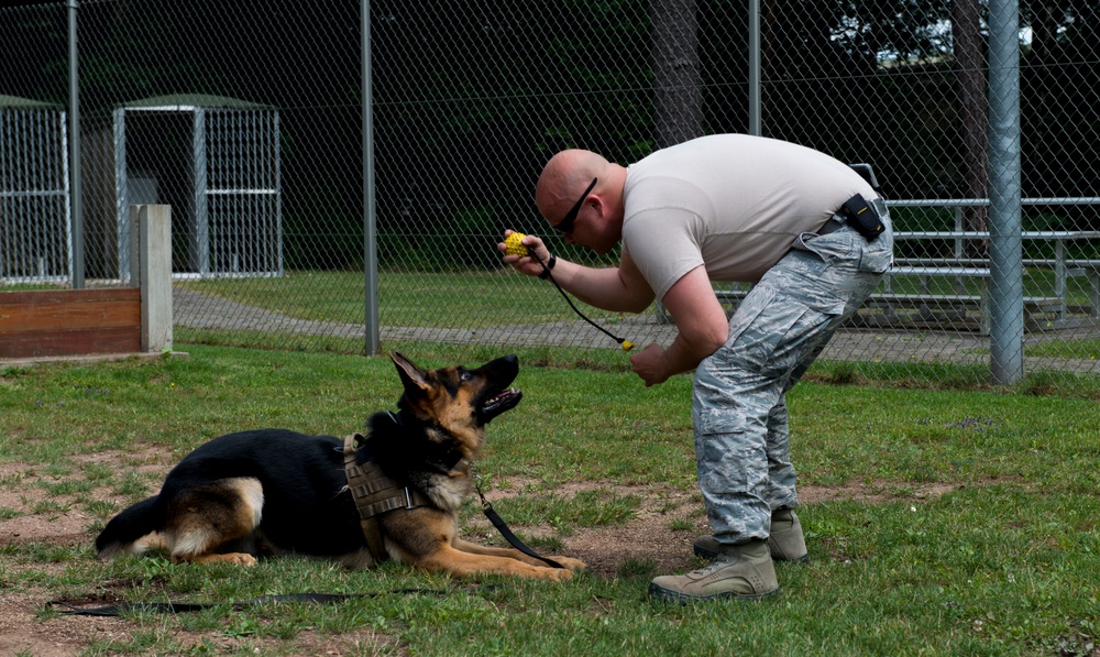 86th SFS welcomes new MWD