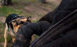 86th SFS welcomes new MWD