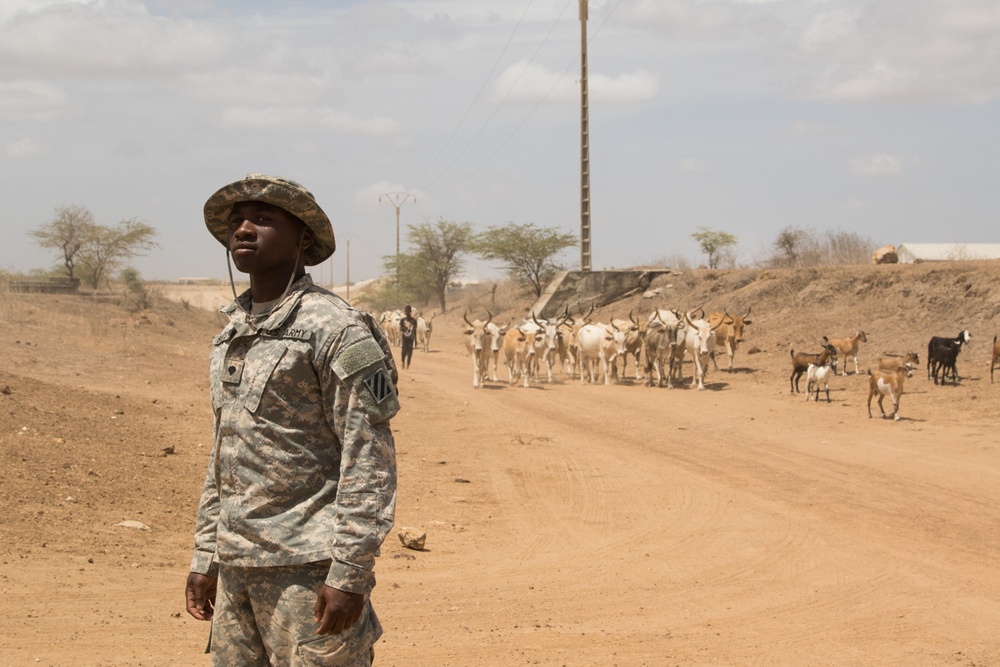 African Readiness Training squad live-fire