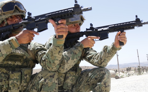 Military Operations in Urban Terrain