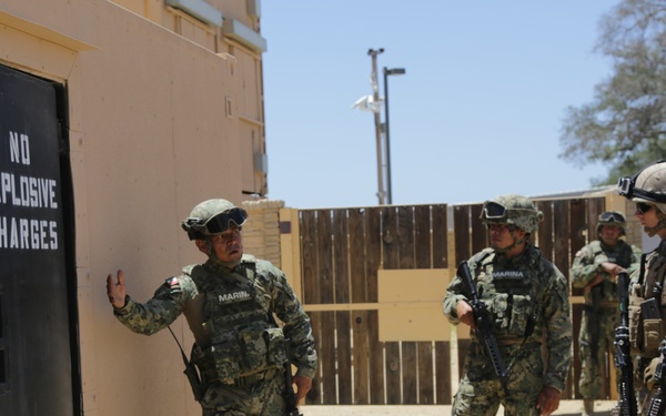 Military Operations in Urban Terrain