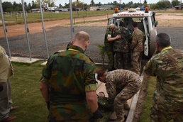 Multinational medical training at Eastern Accord 2016