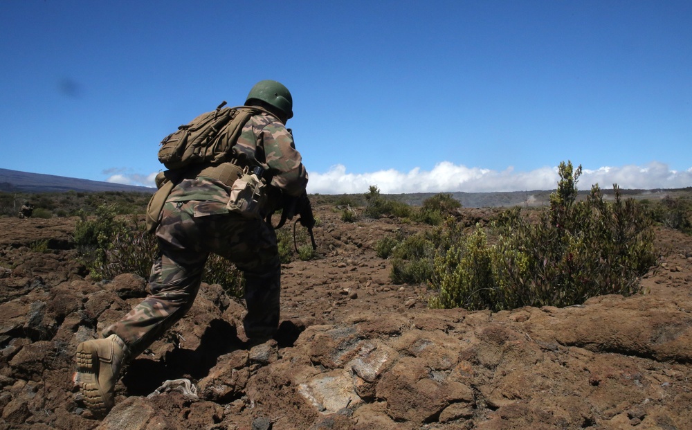 RIMPAC 16: Tonga Soldiers Live Fire Exercise