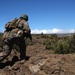 RIMPAC 16: Tonga Soldiers Live Fire Exercise