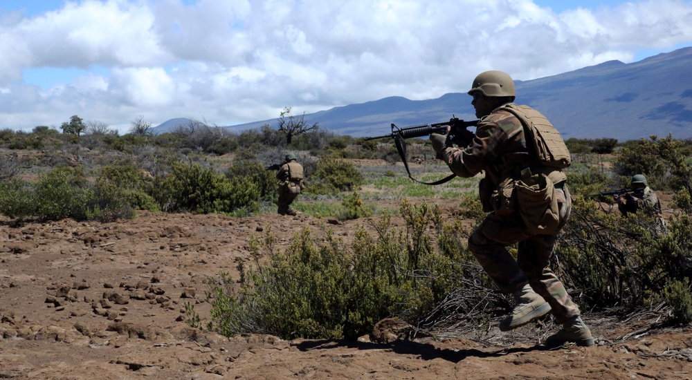 RIMPAC 16: Tonga Live Fire Exercise