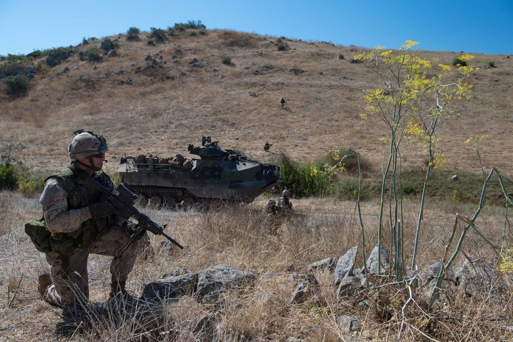 Canadian Army Soldiers, U.S. Marines Conduct Training During RIMPAC 16