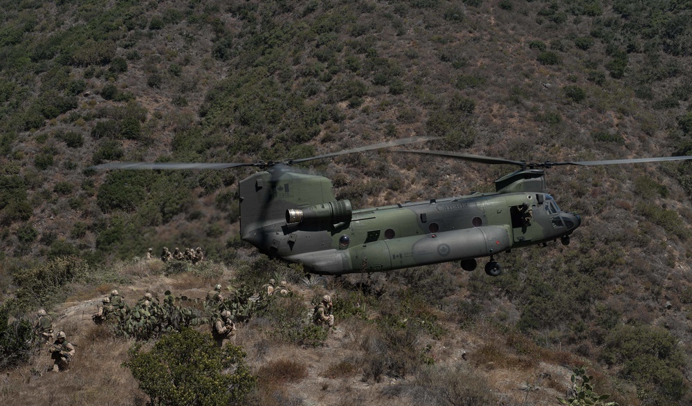 Canadian Army Soldiers, U.S. Marines Conduct Training During RIMPAC 16