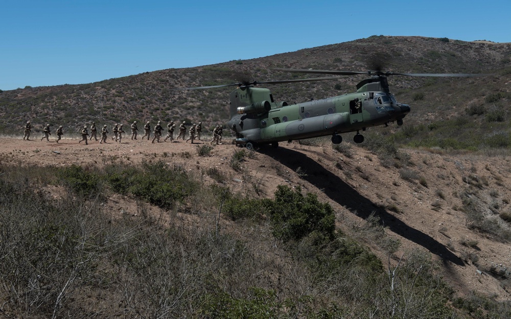 Canadian Army Soldiers, U.S. Marines Conduct Training During RIMPAC 16