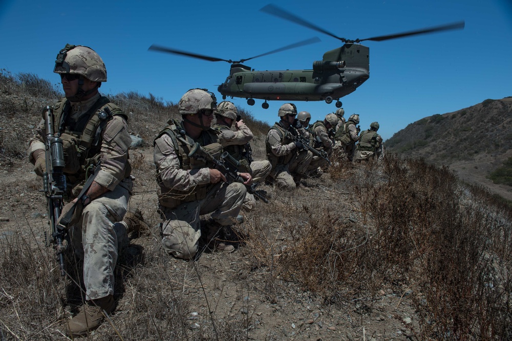 Canadian Army Soldiers, U.S. Marines Conduct Training During RIMPAC 16