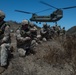 Canadian Army Soldiers, U.S. Marines Conduct Training During RIMPAC 16