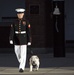 Marine Barracks Washington Evening Parade July 1, 2016