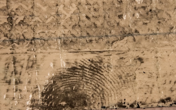 HSI Forensic Laboratory Grand Re-Opening