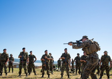 Bulgaria host multi-national exercise
