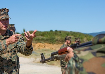 Bulgaria host multi-national exercise