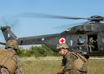 Bulgaria host multi-national exercise