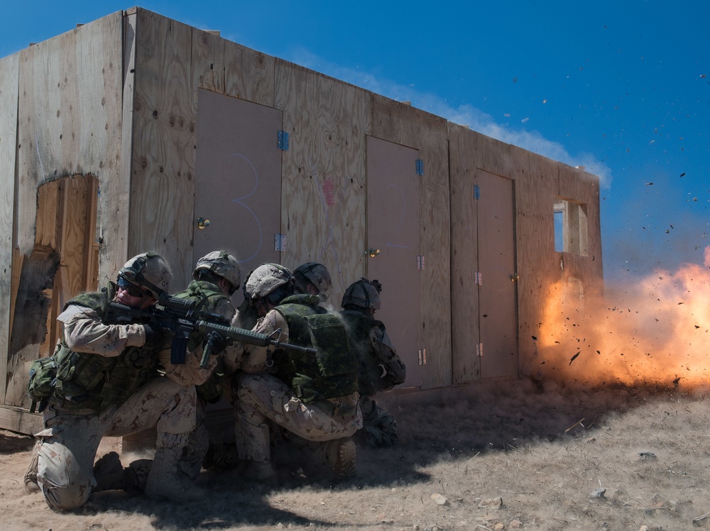 Canada Forces conduct Training at Camp Pendleton during RIMPAC 2016