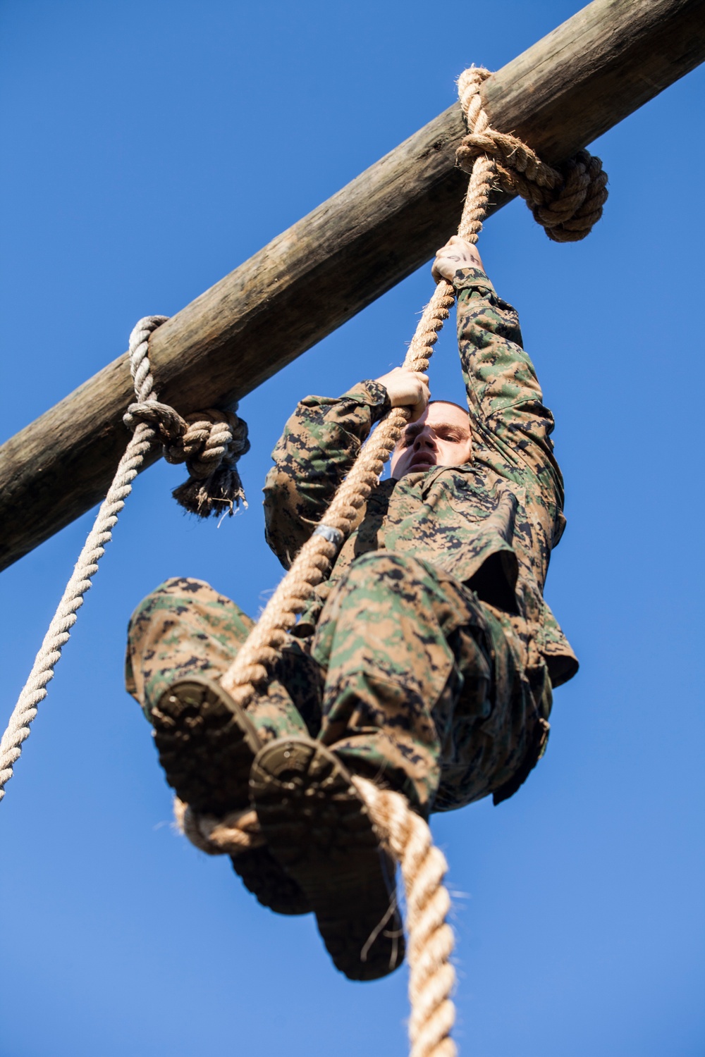 India Co. Obstacle Course