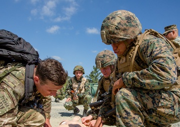 Bulgaria host multi-national exercise