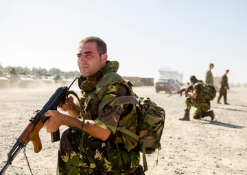 Bulgaria host multi-national exercise