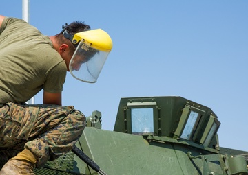 Bulgaria host multi-national exercise