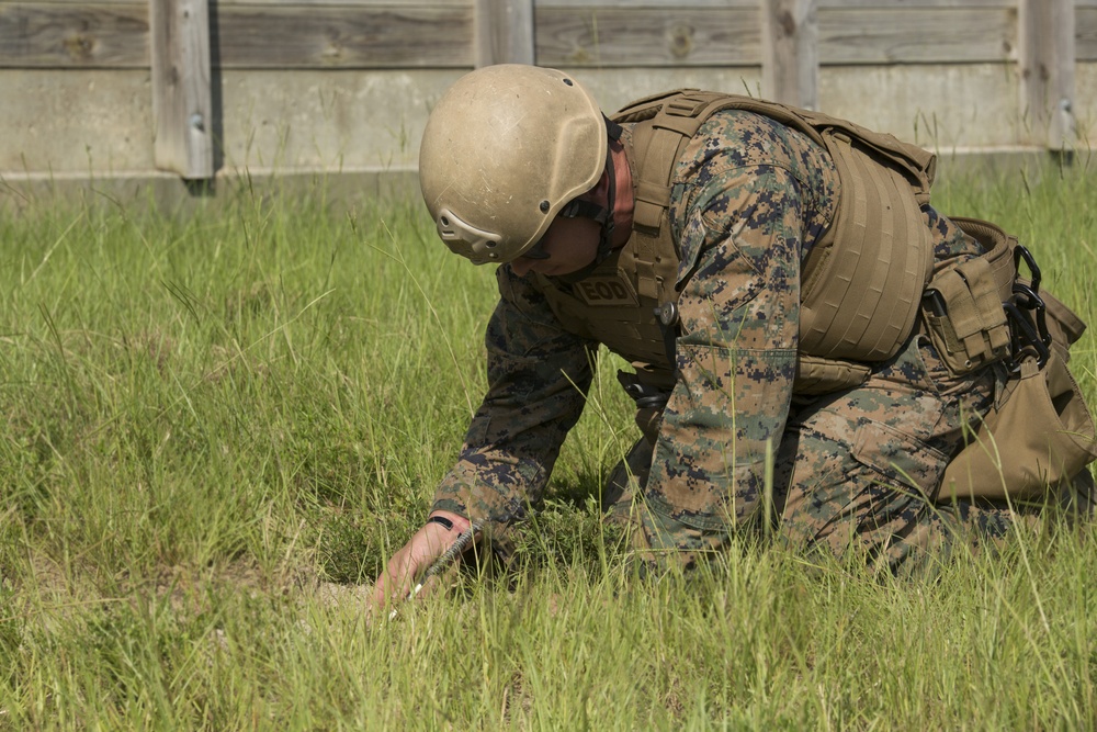 EOD company conducts excavation range