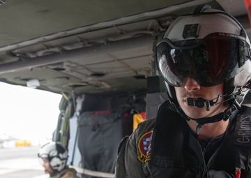 Carl Vinson From Above