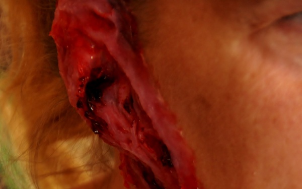 PATRIOT North 2016 authenticated exercise with agonizing-looking art