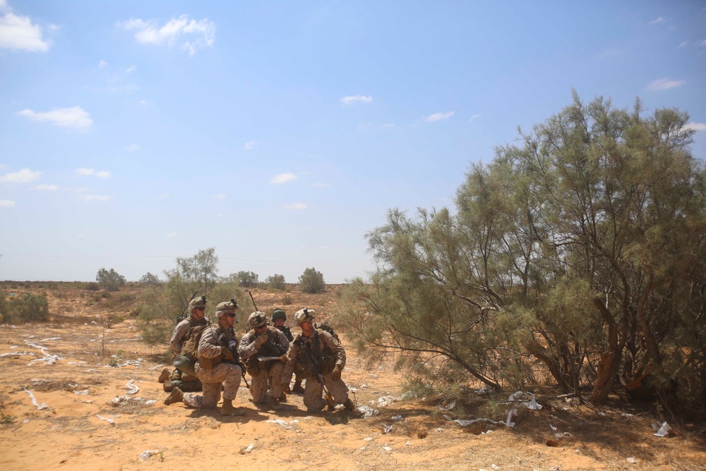 22nd MEU conducts urban assault training with IDF for Noble Shirley 16