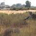 22nd MEU Conducts Mass Casualty Drill During Noble Shirley 16