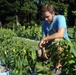 Incubator farm program provides service members agricultural career options