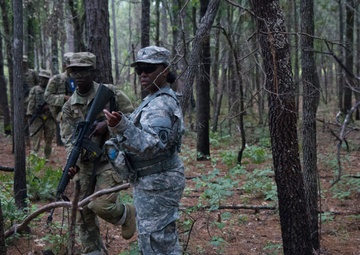 Echo Mission  transforms to adapt to new battlefield