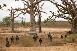 Africa Readiness Training 16 Platoon Live-Fire