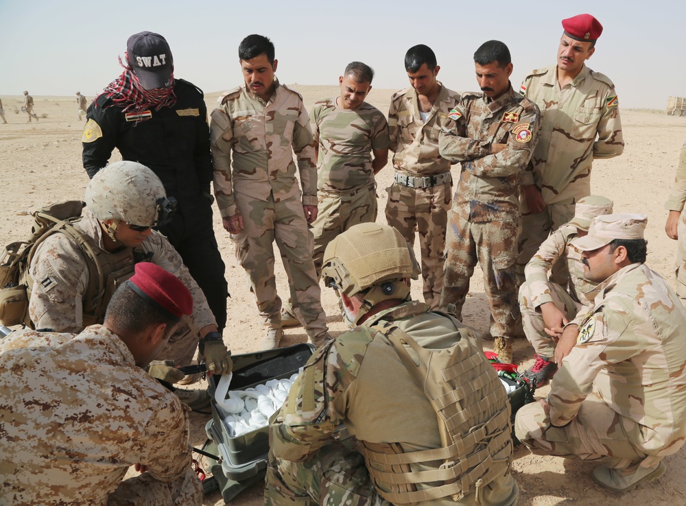 Iraqi army EOD techs learn about APOBS