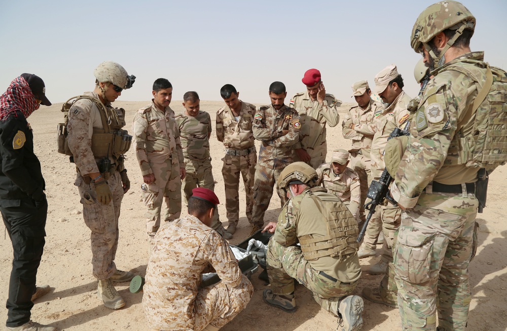 Iraqi army EOD techs learn about APOBS