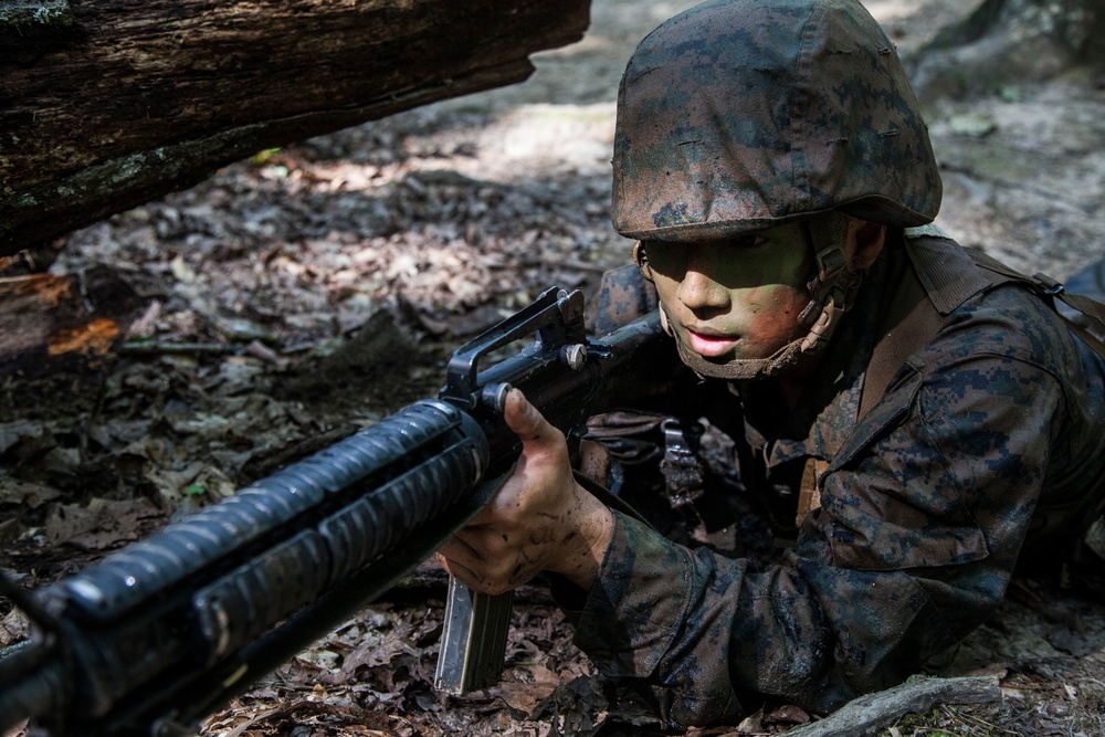 India Co. Combat Course