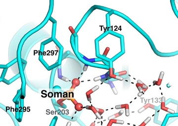 Defeating Deadly Attacks to the Central Nervous System