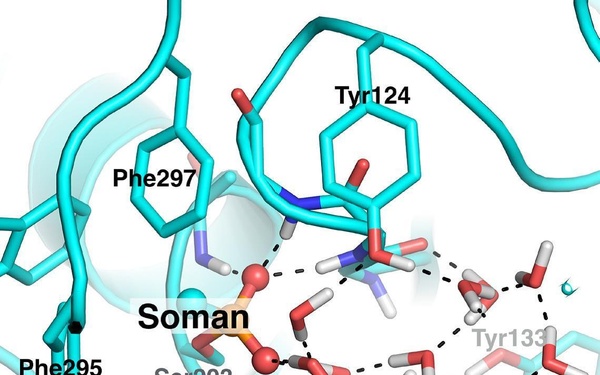 Defeating Deadly Attacks to the Central Nervous System