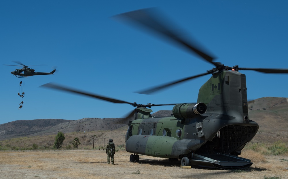 Chile, Canada conduct training at Camp Pendleton during RIMPAC 16