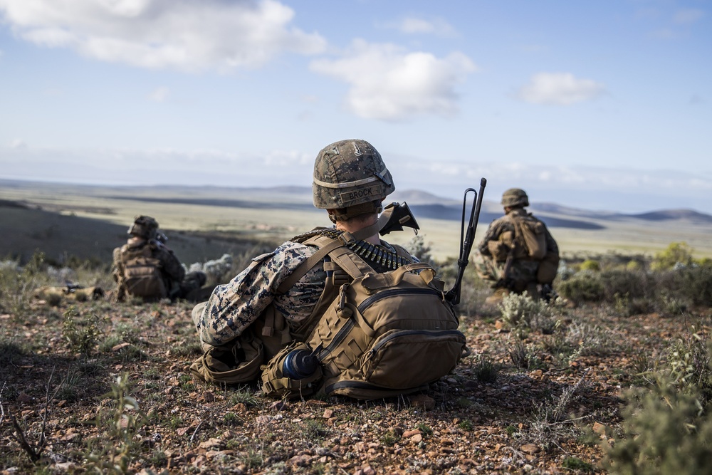 Exercise Hamel 2016