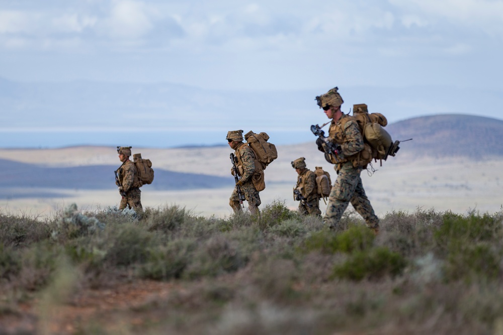 Exercise Hamel 2016