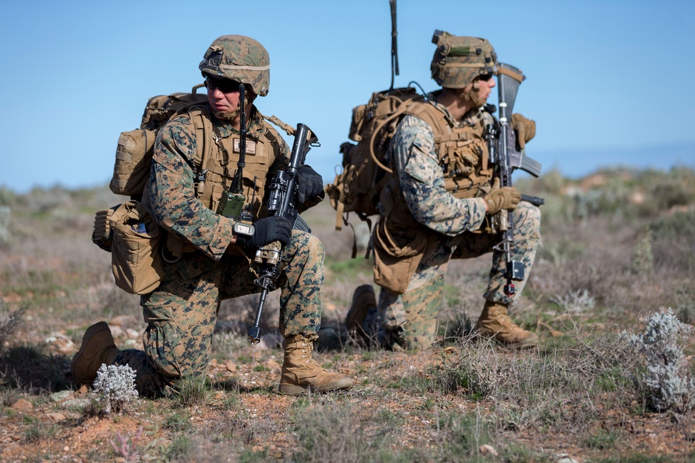 Exercise Hamel 2016