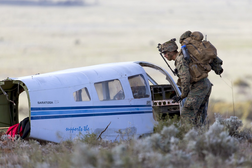 Exercise Hamel 2016