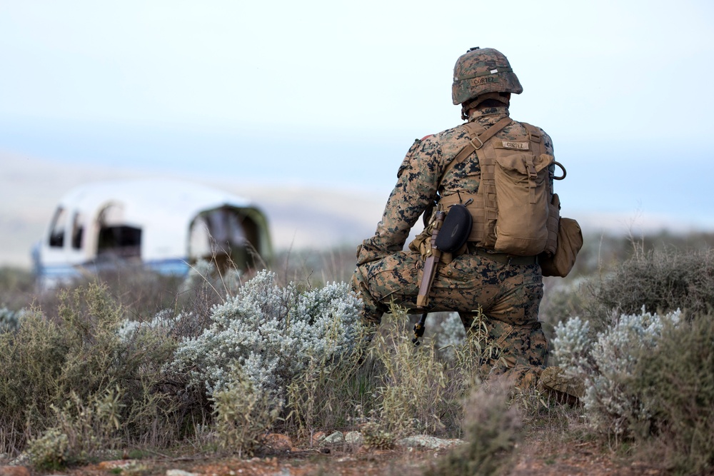 Exercise Hamel 2016