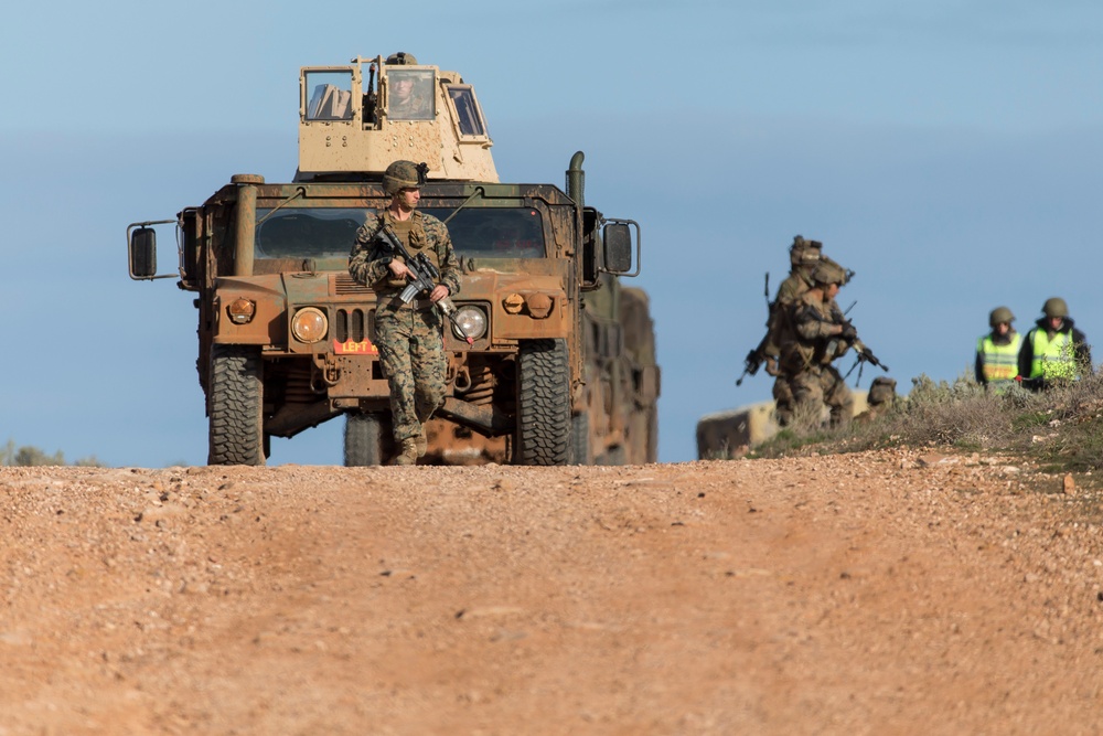 Exercise Hamel 2016