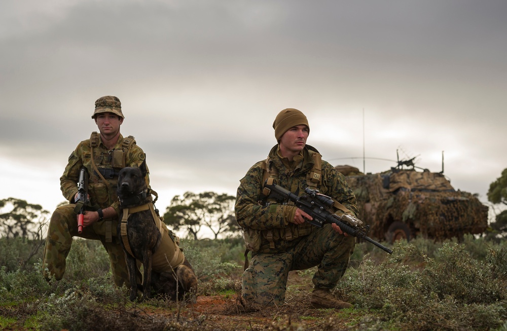 Exercise Hamel 2016